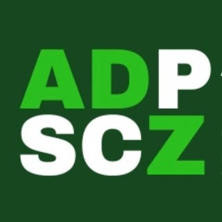 Asociación de Pádel de Santa Cruz